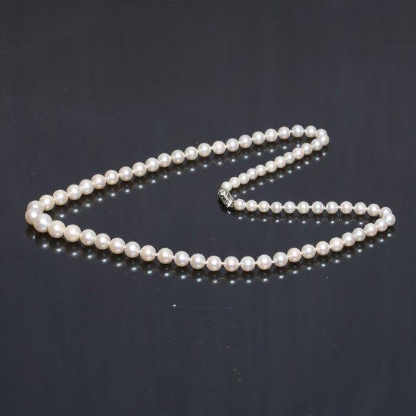 COLLIER/NECKLACE, cultured saltwater pearls, total weight 28g, HALSBAND, odlade saltvattenspärlor, total vikt 28g_2577a_lg.jpeg